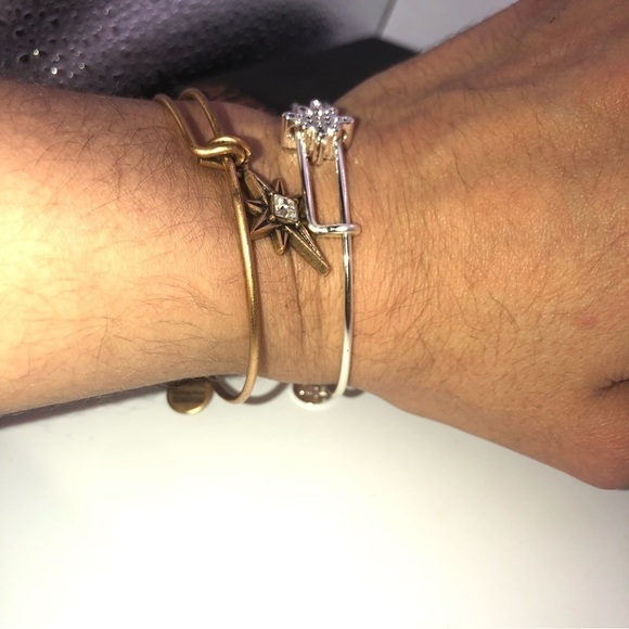 X2 Alex & Ani Bracelets Bronze & Silver Tone Adjustable / 2.1” Diameter - Picture 4 of 7